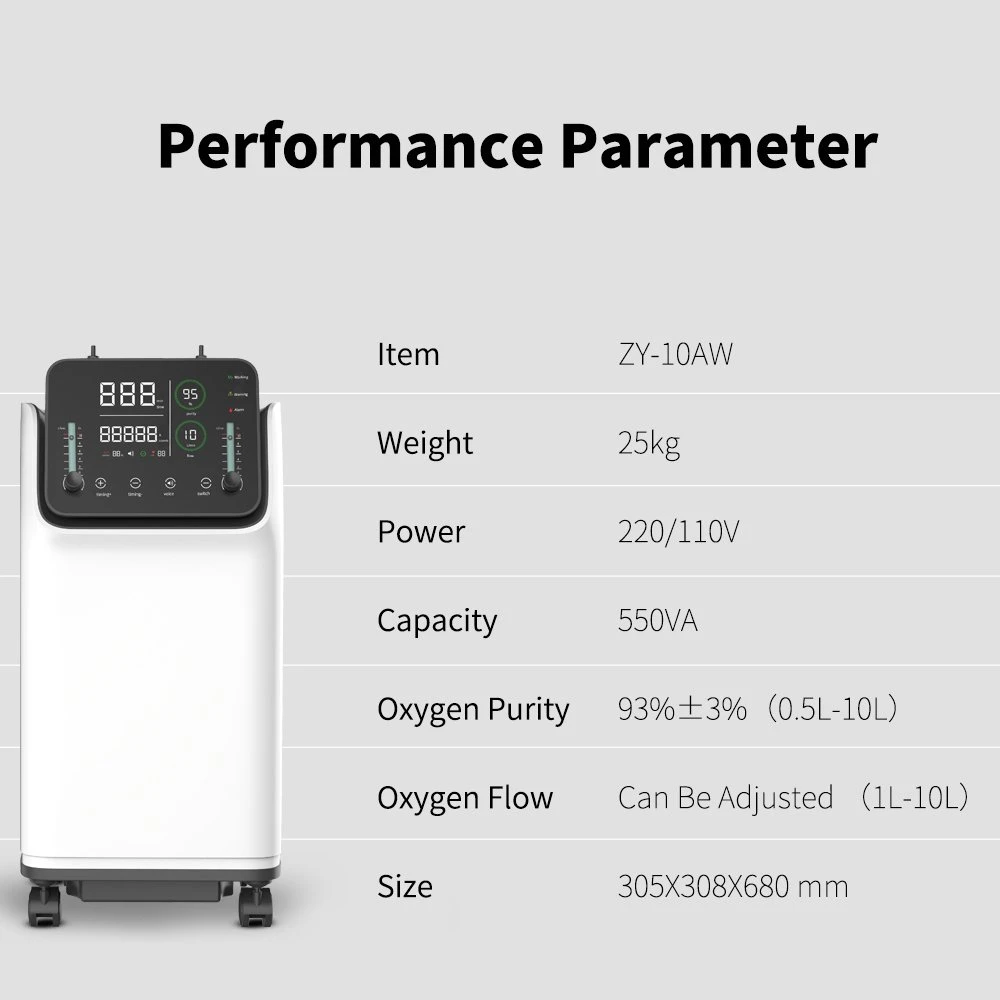 Portable Oxygen Concentrator 10L Large Flow Machine with Atomizing Function for Home